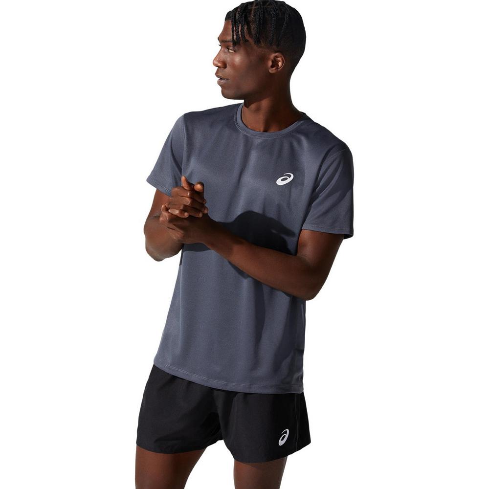 Asics Remeras Masculino Running Silver Ss Top Carrier Grey